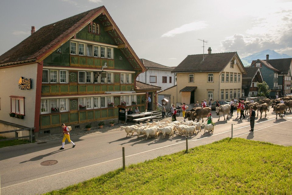 csm_05-Alpfahrt_005_581df5e4de.jpg
