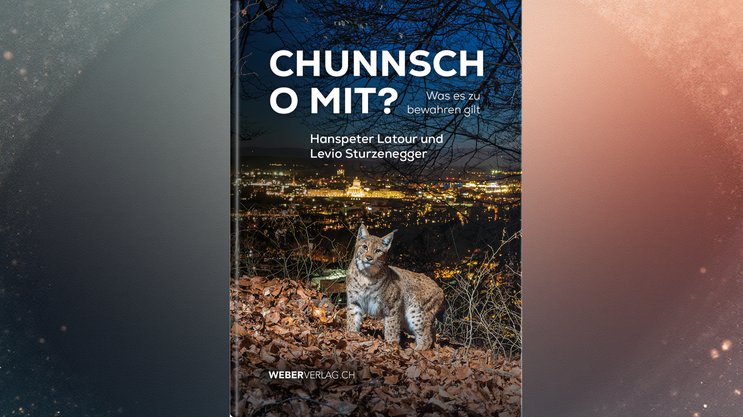 Bestellen Sie das Buch jetzt mit Rabatt!