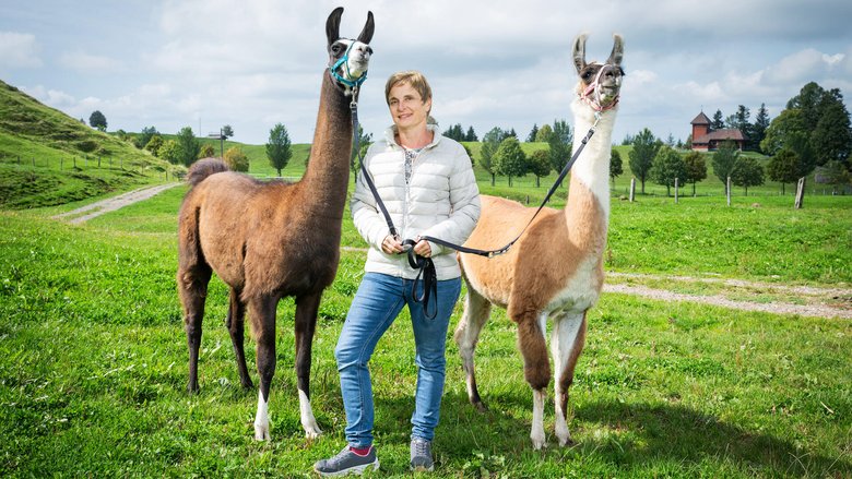 Sonja Rutz mit Phönix und Amigo (l.), 2 ihrer 22 Lamas. Die Landfrau führt mit ihnen Trekkings durch.