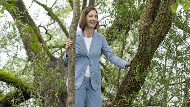 Sabine Balmer lebt in Seengen AG nahe des Hallwilersees. «Auf diesen Weidenbaum sind meine Kinder immer geklettert.»
