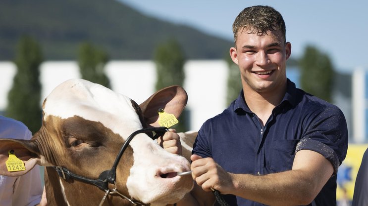 Michael Moser hat diese Saison schon sechs Schwingfeste gewonnen. Hier mit dem Siegermuni am Oberaargauischen Schwingfest.