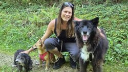 Mit seinen drei Hunden Amy, ­Athena und Sky geht Mark Fox dreimal am Tag nach draussen – sofern es die aktuelle Tour mit Shakra zulässt.
