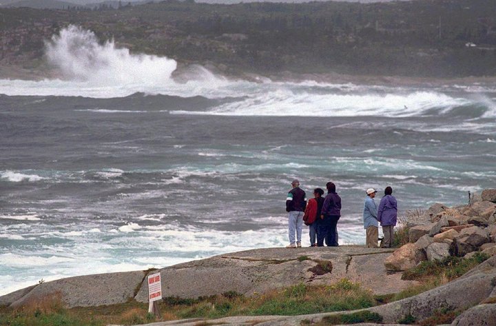 Etwa neun Kilometer südwestlich des Fischerdorfes Peggy’s Cove stürzte das Flugzeug ins Meer.