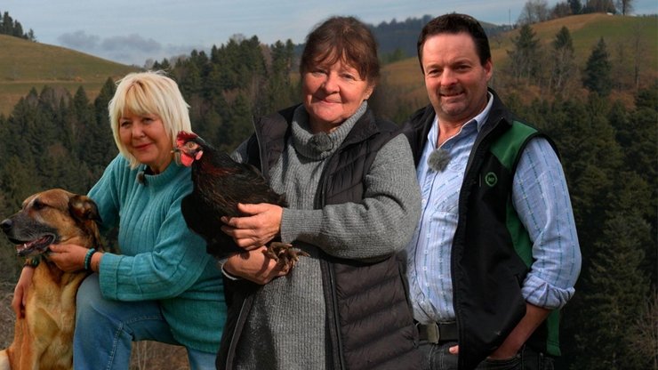 Teaser Webseite (1).jpg