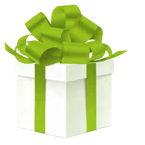 geschenk-gün.png