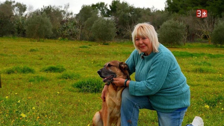 Ein Herz für Tiere: Die 65-jährige Karina kümmert sich in ihrer neuen Heimat mittlerweile um zehn Hunde.