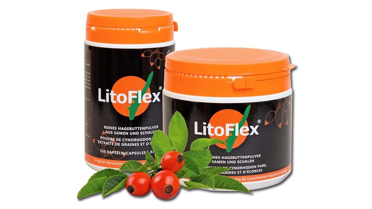 Teaser Webseite (7).png