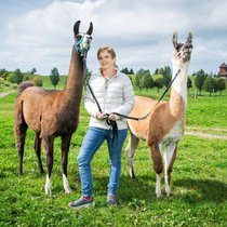 Sonja Rutz mit Phönix und Amigo (l.), 2 ihrer 22 Lamas. Die Landfrau führt mit ihnen Trekkings durch.
