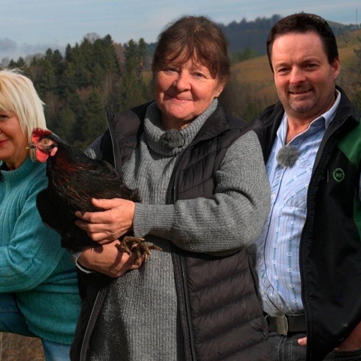 Teaser Webseite (1).jpg