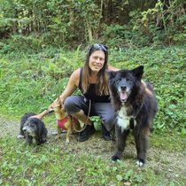 Mit seinen drei Hunden Amy, ­Athena und Sky geht Mark Fox dreimal am Tag nach draussen – sofern es die aktuelle Tour mit Shakra zulässt.