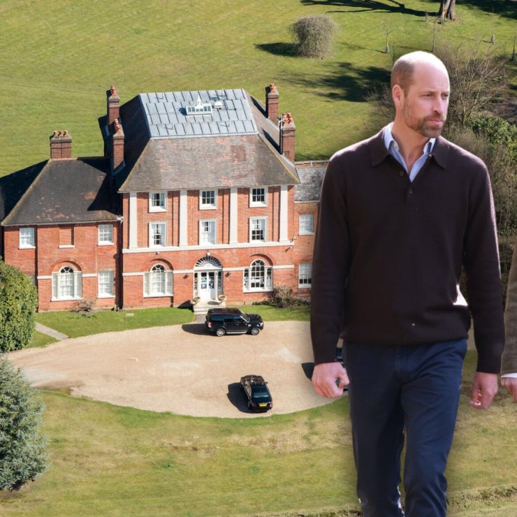 Kein Titel (1330 x 810 px) (2).png