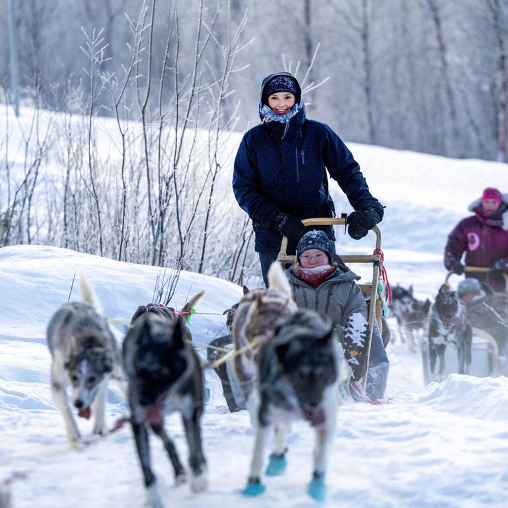 Princess Ingrid Alexandra during a dog sledding tour along a route .    ADEL  ROYALS MONACHY KONIGLICH ROYAUX ROYALTY QUEEN PRINCESS KING PRINCE