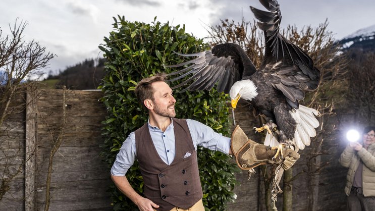 Musiker Kunz posiert mit einem Weisskopfseeadler im Greifvogelpark Buchs SG. Den ­gefiederten Tieren hat er das Lied «Vögu» gewidmet.